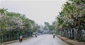 Du lịch Điện Biên - Lễ hội Hoa Ban 2021 (3 ngày 2 đêm)